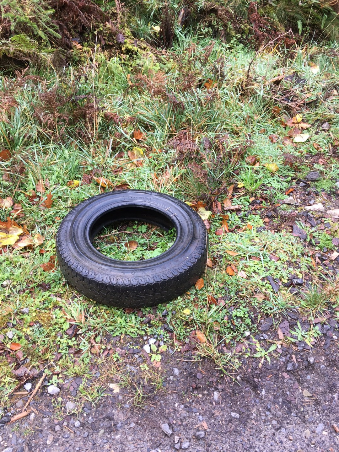 Autoreifen im Gebüsch